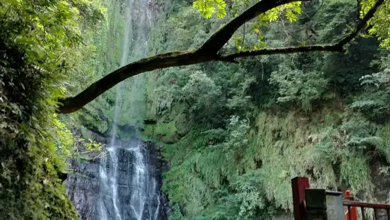 Yilan Classic Tour: Zhang Mei Farm & Qingshui Geothermal DIY (Hotel Pickup from Taipei)