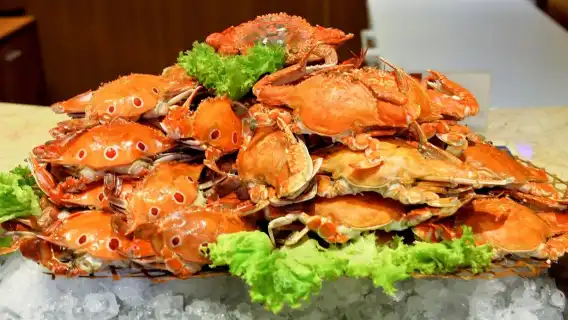 澎湖｜福朋喜來登飯店｜宜客樂海港百匯自助餐廳吃到飽券・藍洞餐廳經典雙人下午茶券