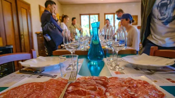 佛羅倫斯：基安蒂電動自行車之旅，含午餐和兩次葡萄酒品嚐