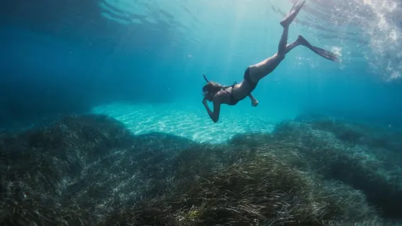 Snorkelling & Sailing In Crete's Hidden Coastal Gems