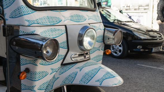 Lisbona: tour storico in tuk tuk (Alfama, Bairro Alto, Belém)