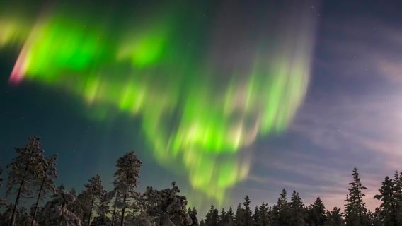 Levi: Northern Lights Hunting Photo Tour