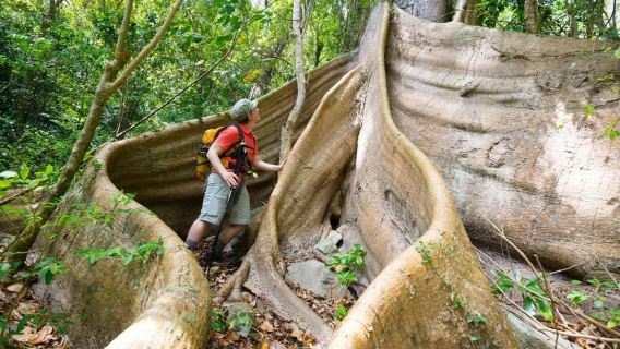 Wanderabenteuer in Dominica