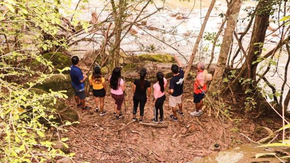 Puerto Vallarta: El Jardín Botánico de Vallarta por Mar o Tierra