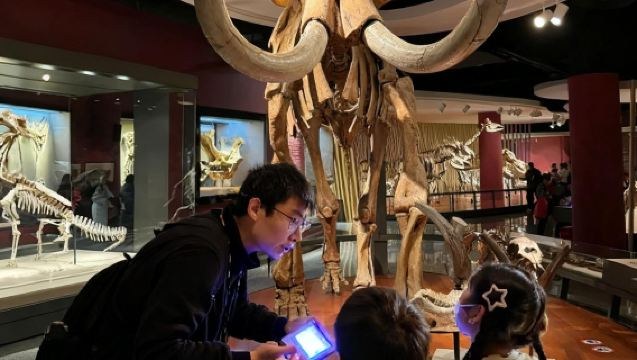 【含門票】上海自然博物館拼/包團人員導覽