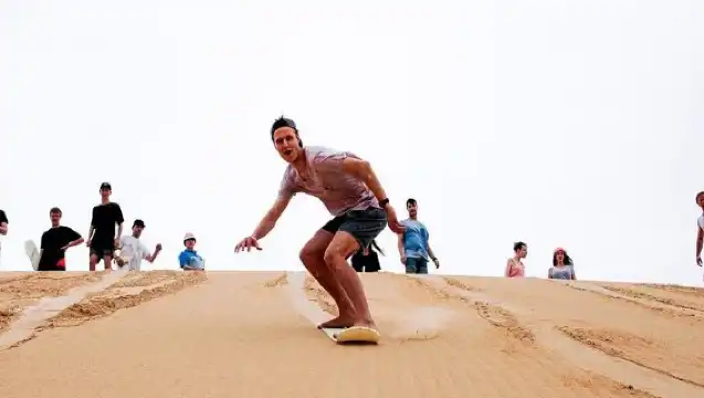 悉尼史蒂芬港賞豚+滑沙一日遊