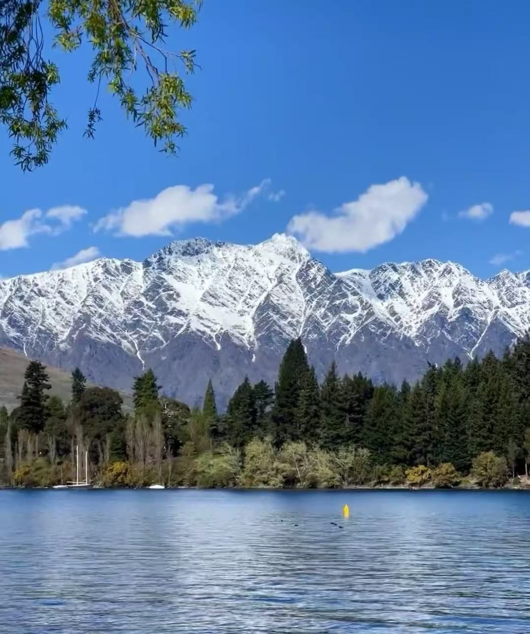 紐西蘭皇后鎮米爾福德峽灣公路風景+遊船【中文包車+12小時】