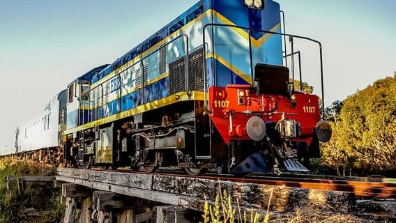 Drysdale: The Q Train Experience with Gourmet Degustation