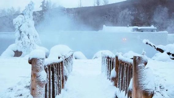 【星空極光號】阿拉斯加珍娜溫泉泡湯半日遊 含門票+飯店接駁