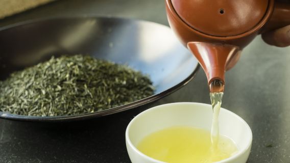 [Marufuku Seicha] Learn about Japanese tea in Sunpu, loved by Tokugawa Ieyasu: Tea factory tour and tea tasting workshop experience