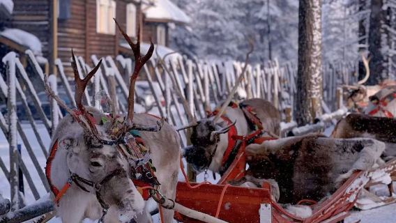 美國費爾班克斯雪地摩托+冰釣+追極光【私家包車+行程定制】