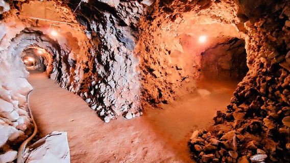 Tequila: Tour privado y personalizado. A tu ritmo y estilo.