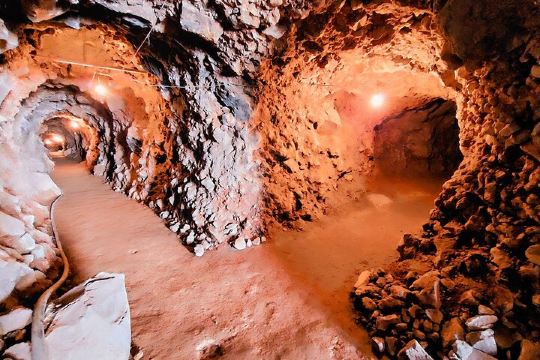 Tequila: Tour privado y personalizado. A tu ritmo y estilo.