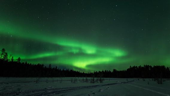羅瓦涅米追極光攝影小團+KOTA鮭魚燒烤 中文