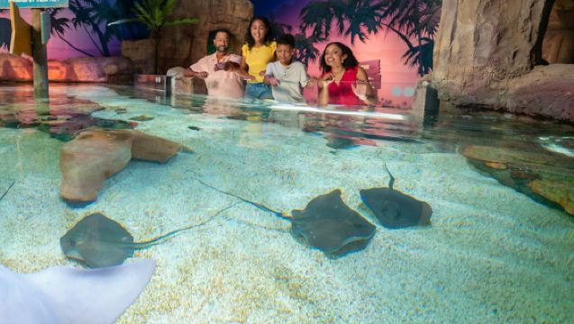 LEGOLAND Florida: Park Only