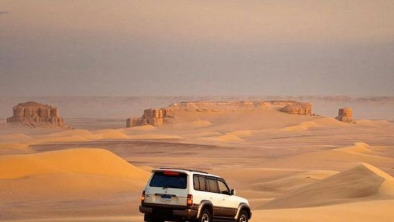 Wadi El Rayan: 4X4 Desert Safari, Sandboarding & Camel Ride from Cairo or Giza