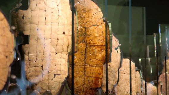 趣豫說安陽【殷墟博物館】【宮殿遺址】王陵遺址【6H拼團或私人導覽】