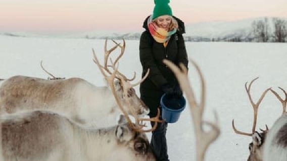 Tromsø: Reindeer Camp and Sami Cultural Tour with Lunch