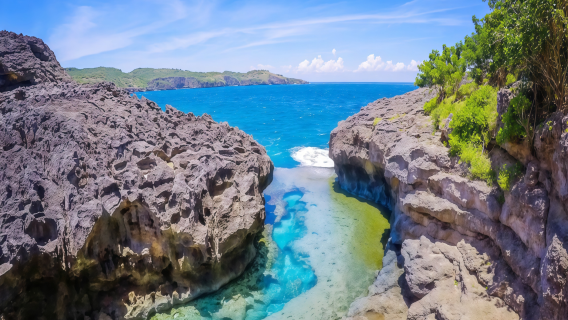 [from Bali] NUSA PENIDA West tour by Private car with compliment Coconuts