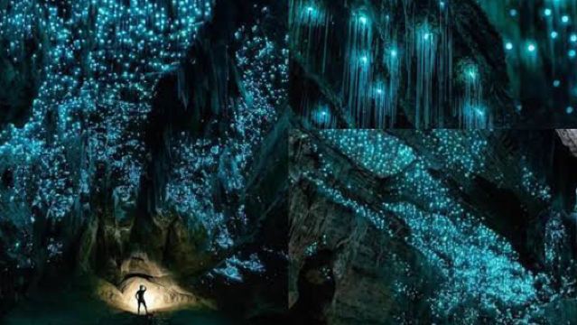 New Zealand Lake Te Anau + Glowworm Caves Tour | Half-Day Exploration of Magical Glowworm Caves with English Guide
