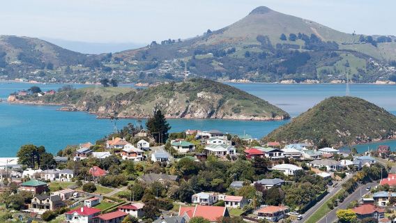 New Zealand: Tekapo & Nelson & Wanaka | Pemandu pelancong | Penterjemahan | Perniagaan | Sewaan peribadi