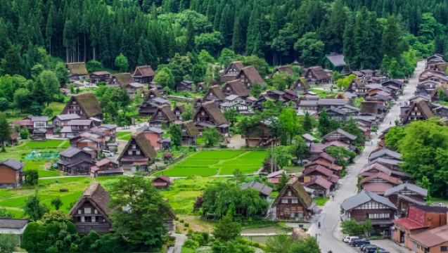 日本 /名古屋/白川鄉/高山/金澤/翻譯/留學生地陪導遊/地接/定制/接機/日本深度遊/一單一團