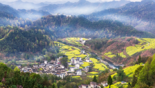 Hangzhou ida y vuelta: Ciudad Antigua de Huizhou + Tulou de Yangchan + Pueblo de Shitan | Servicio de coche privado con conductor personalizado en varios idiomas incluidos chino e inglés