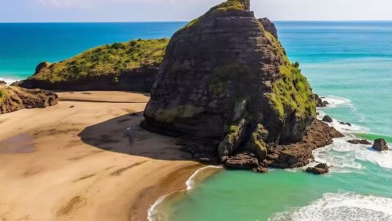 奧克蘭市區出發-西港碼頭-德文港-鳥島-伊甸山中文共乘一日遊