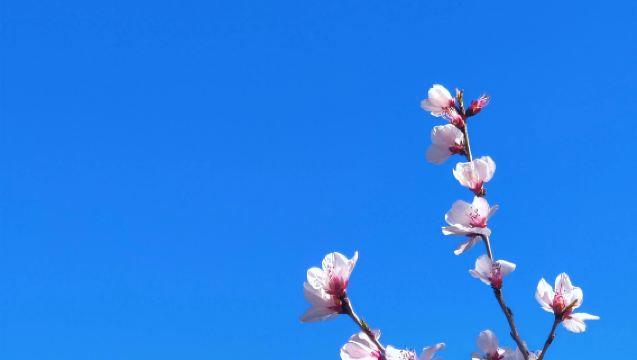 Chengde - Tembok Besar Jinshanling - Chengde lawatan sehari premium (tiada membeli-belah, hanya bersantai) dengan pengangkutan dari pintu ke pintu