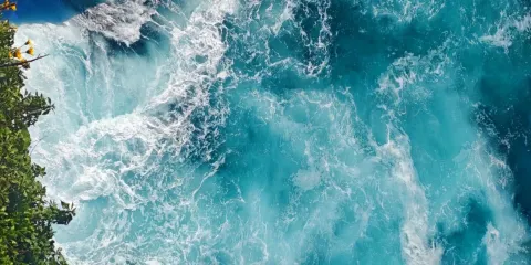 澳洲-全境-旅遊&陪同 &地陪/導遊景點講解&商務翻譯&考察/研學【可中文訂製包車】