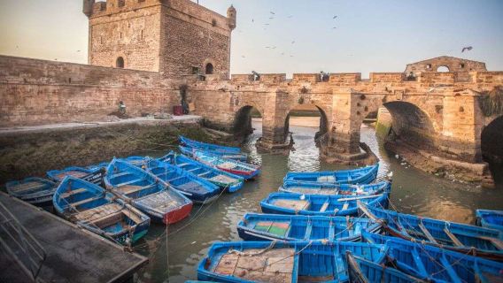 From marrakech: Explore Essaouira, Beaches & Local Culture and Ramparts