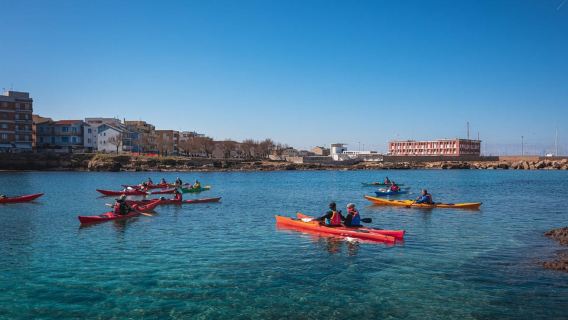 Porto Torres: Guided Kayaking Excursion