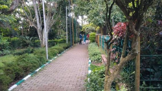 Nandi hills Day tour with breakfast From Bengaluru