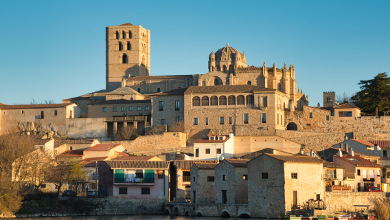 Top Zamora: Private guided tour with your mobile