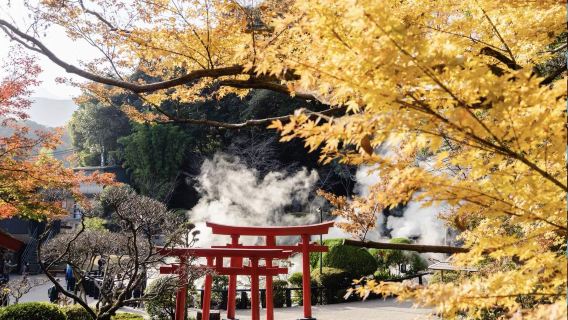 1-day classic tour to Oita (Dazaifu, Yufuin and Beppu) departing from Fukuoka from 1 person