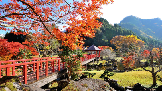 九重夢大吊橋+九醉溪+溪石園+一目八景【紅葉限定一日遊】福岡