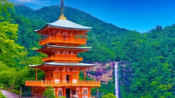 Japonya'da Nagoya çevresinde özel araçla tur|Kumano Kodo + Kumano Nachi Taisha + Seiganto-ji Tapınağı&