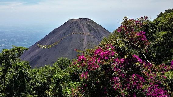 San VicenteTours