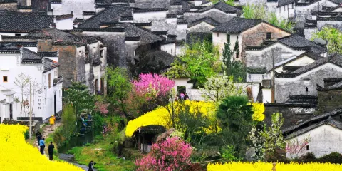 月亮灣+上坦村+龍尾+慶源+鳳山+察關+虹關+婺源弦高城一日遊