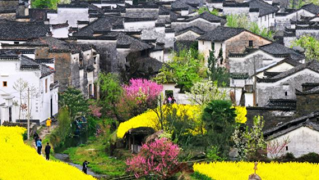 Lawatan Sehari ke Teluk Bulan, Kampung Shangtan, Longwei, Qingyuan, Fengshan, Chaguan, Hongguan dan Kota Purba Xiangao