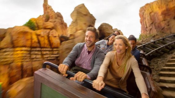 RETURN TRANSPORTATION DISNEYLAND® PARIS