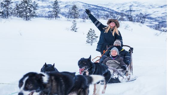 Excursión de un día en trineo de perros en Tromso (conducción propia + transporte de ida y vuelta a Tromso)