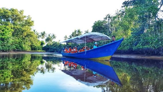 Sky-Mirror Photographing and Proboscis Monkey & Fireflies Watching River-Cruise