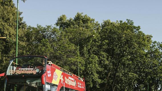 Hop-on Hop-off Bus Benalmádena
