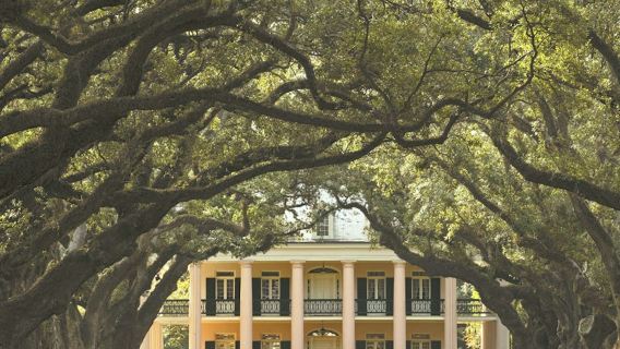 Plantation Oak Alley : visite au départ de La Nouvelle-Orléans