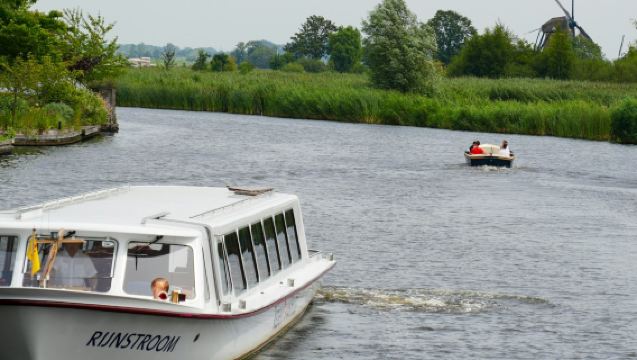 Lisse: Windmill Cruise + Visit to 'Tulip Experience'