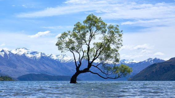 紐西蘭箭鎮+瓦納卡湖+皇后鎮天空纜車+卡瓦勞河一日遊