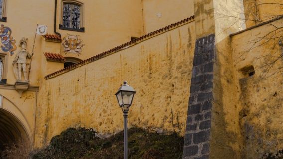 Neuschwanstein Castle admission ticket(with official German/English guide or multilingual audio guide)