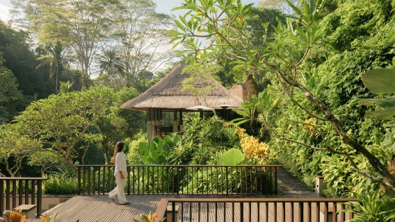 BaliSPA/Beauty
