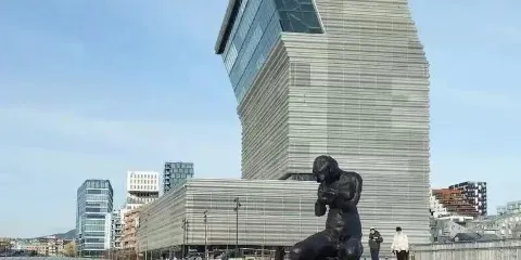 奧斯陸市區中文包車十小時,景點可定制